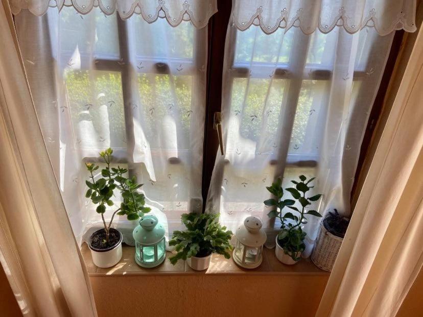 Apartament Fodor Haz Gyenesdiás Zewnętrze zdjęcie